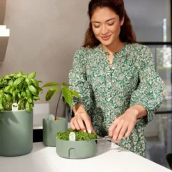 Elho Amazing Avocado Pot 12 - Kweekpot Voor Binnen - Moestuinbak Van 100% Gerecycled Plastic - Ø 12.0 X H 12.1 Cm - Groen/Blad Groen -Goedkope Groene Liefde Winkel 1200x800 44