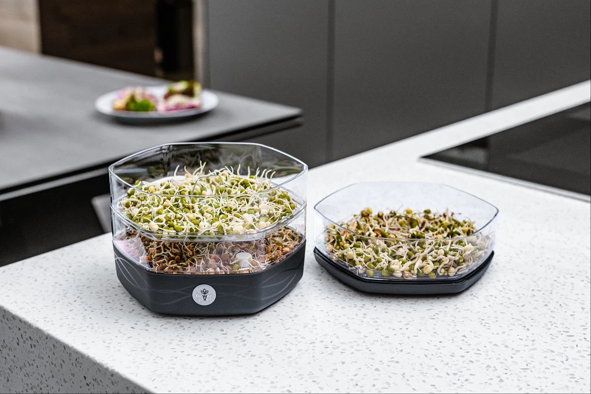 Mungo Antraciet - Kiemtoren Voor Zaden En Granen - Kiempot - Kiemzaden - Kiemschaaltje 3 Mungo Antraciet - Kiemtoren Voor Zaden En Granen - Kiempot - Kiemzaden - Kiemschaaltje