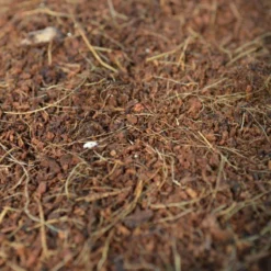 Cellmax Kokos Potgrond - Cocopeat - Stekgrond - Duurzaam - 50 Liter -Goedkope Groene Liefde Winkel 1200x800 48