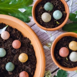 Blossombs Giftbox Small - 7 Blossombs - Bloembommetjes - Zaadbommetjes - Vlinders - Bijen - Biologisch - Ecologisch - Verjaardag - Communie - Doopsuiker - Valentijn -Goedkope Groene Liefde Winkel 1200x800 51