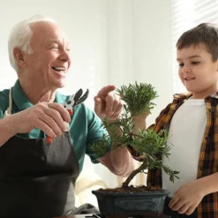 Bonsai Zaden 6 Soorten Incl. E-Book - Kweekset - Boompje In Pot - Kamerplanten – Kerstcadeau -Goedkope Groene Liefde Winkel 1200x800 56