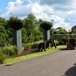 Covergreen Kant-en-klare Sedum Plantenmat -Goedkope Groene Liefde Winkel 1200x800 58