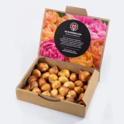 25 Tulpenbollen Chic Mix - Bloembollen Mix - Tulpen Mix - Bollen - Bulbs - Tulip - Flowerbulbs - Flowers - Tuin Tulpen - Bloemen 10 25 Tulpenbollen Chic Mix - Bloembollen Mix - Tulpen Mix - Bollen - Bulbs - Tulip - Flowerbulbs - Flowers - Tuin Tulpen - Bloemen -Goedkope Groene Liefde Winkel 1200x800 61