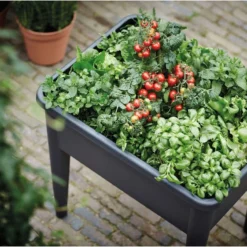 Elho Green Basics Kweektafel Super Xxl - Zwart/Living Black -Goedkope Groene Liefde Winkel 1200x801 1