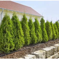 GARDENA Micro Drip System Startset L Druppelsysteem - 50 Meter -Goedkope Groene Liefde Winkel 1200x814