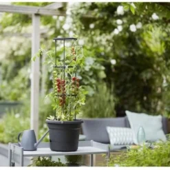 Elho Green Basics Tomaten Pot 33 - Bloempot Voor Buitenkweken En Oogsten - Ø 33.5 X H 26.0 Cm - Zwart/Living Black 25 Elho Green Basics Tomaten Pot 33 - Bloempot Voor Buitenkweken En Oogsten - Ø 33.5 X H 26.0 Cm - Zwart/Living Black -Goedkope Groene Liefde Winkel 1200x817