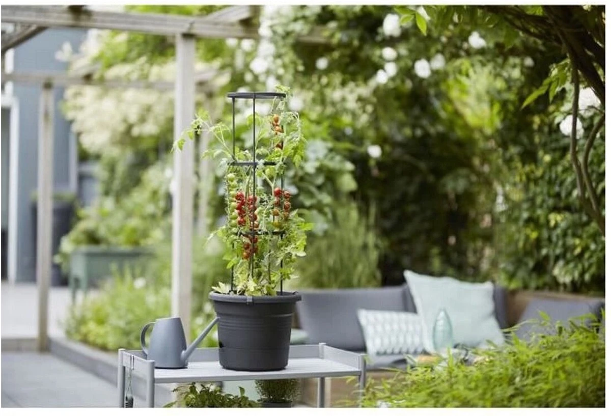 Elho Green Basics Tomaten Pot 33 - Bloempot Voor Buitenkweken En Oogsten - Ø 33.5 X H 26.0 Cm - Zwart/Living Black 13 Elho Green Basics Tomaten Pot 33 - Bloempot Voor Buitenkweken En Oogsten - Ø 33.5 X H 26.0 Cm - Zwart/Living Black - Afbeelding 11