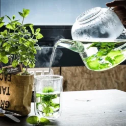 Biologische Kweekset Theekruiden Munt -Goedkope Groene Liefde Winkel 1200x832