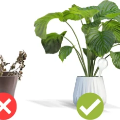 Druppelsysteem 12 Stuks Waterdruppelaar Voor Planten - Waterafgiftesysteem Voor 2 Weken - Beregening Voor Kamerplanten -Goedkope Groene Liefde Winkel 1200x843 2