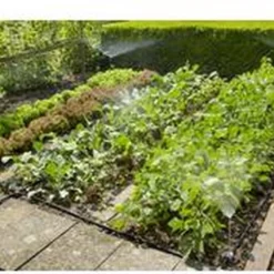 GARDENA Micro Drip System Bloembed En Moestuin Startset Druppelsysteem - 25 Meter -Goedkope Groene Liefde Winkel 1200x844 2