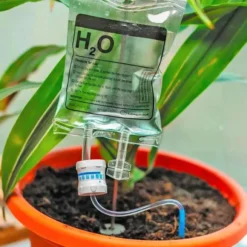 Plant Infuus H2o - Waterdruppelaar - Automatisch Bewateringssysteem Planten - Druppelirrigatie - Transparant - 350ml 6 Plant Infuus H2o - Waterdruppelaar - Automatisch Bewateringssysteem Planten - Druppelirrigatie - Transparant - 350ml -Goedkope Groene Liefde Winkel 1200x852