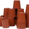 Merkloos Plastic Potjes 6 Cm - Set Van 40 Stuks -Goedkope Groene Liefde Winkel 1200x871