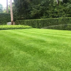 ECOstyle Graszaad Herstel Snelkiemend Gazon Gras – Herstelt Kale Plekken – Vogelwerende Coating – Geschikt Voor Zon- En Schaduw Gazons - Snelle Kieming – 20 – 30M² – 500 GR -Goedkope Groene Liefde Winkel 1200x900 7