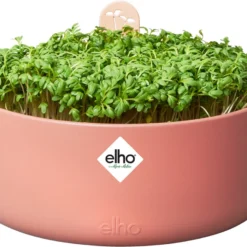 Elho Magic Microgreens 17 - Bloempot Voor Kiemgroenten - Ø 16.8 X H 7.1 Cm - Bruin/Toffee Terra -Goedkope Groene Liefde Winkel 1200x901