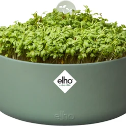 Elho Magic Microgreens 17 - Bloempot Voor Kiemgroenten - Ø 16.8 X H 7.1 Cm - Groen/Blad Groen 15 Elho Magic Microgreens 17 - Bloempot Voor Kiemgroenten - Ø 16.8 X H 7.1 Cm - Groen/Blad Groen -Goedkope Groene Liefde Winkel 1200x903