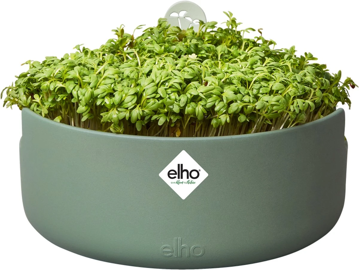 Elho Magic Microgreens 17 - Bloempot Voor Kiemgroenten - Ø 16.8 X H 7.1 Cm - Groen/Blad Groen 5 Elho Magic Microgreens 17 - Bloempot Voor Kiemgroenten - Ø 16.8 X H 7.1 Cm - Groen/Blad Groen - Afbeelding 3