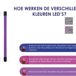 Forgoods Kweeklamp LED Full Spectrum - Groeilamp - 40 Watt - Automatische Timer 3-9-12 Uur - Inclusief Adapter -Goedkope Groene Liefde Winkel 1200x910