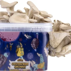 Oesterzwam Growkit - Zelf Paddestoelen Kweken Op Koffiedik - Paddenstoelen Kweekset -Goedkope Groene Liefde Winkel 1200x911 10