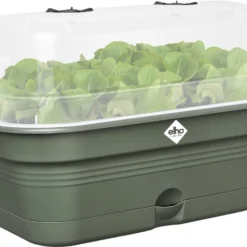 Elho Green Basics Kweektray Allin1 39 - Plantenbak Voor Kweken En Oogsten - Ø 39.0 X H 15.2 Cm - Groen/Blad Groen -Goedkope Groene Liefde Winkel 1200x911 4