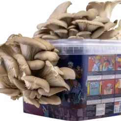 Oesterzwam Growkit - Zelf Paddestoelen Kweken Op Koffiedik - Paddenstoelen Kweekset -Goedkope Groene Liefde Winkel 1200x933