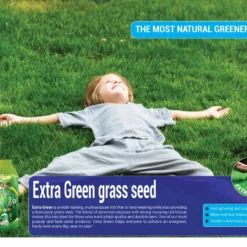 Graszaadmat - Graszaden - Gras Reparatie - Gras Aanleg - Gras Herstel - Graszaad Op Rol - Grasrol - Zeer Gemakkelijk In Gebruik - Biologisch Gras - 0,90X11,1=9,99m2 -Goedkope Groene Liefde Winkel 1200x937 1