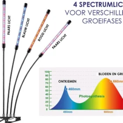 Forgoods Kweeklamp LED Full Spectrum - Groeilamp - 40 Watt - Automatische Timer 3-9-12 Uur - Inclusief Adapter -Goedkope Groene Liefde Winkel 1200x937