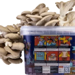 Oesterzwam Growkit - Zelf Paddestoelen Kweken Op Koffiedik - Paddenstoelen Kweekset -Goedkope Groene Liefde Winkel 1200x949 1