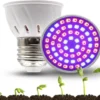 E27 LED Groeilamp Voor Kwekers - 5w Groeilamp - Kweeklamp - 5 Watt - E27 Fitting - Grow Light - Kweektunnel - Bloeilamp - UV Lamp - Groeilicht - Ontkiemen - Planten Groeien 2 E27 LED Groeilamp Voor Kwekers - 5w Groeilamp - Kweeklamp - 5 Watt - E27 Fitting - Grow Light - Kweektunnel - Bloeilamp - UV Lamp - Groeilicht - Ontkiemen - Planten Groeien -Goedkope Groene Liefde Winkel 1200x949