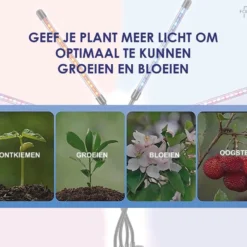 Forgoods Kweeklamp LED Full Spectrum - Groeilamp - 40 Watt - Automatische Timer 3-9-12 Uur - Inclusief Adapter -Goedkope Groene Liefde Winkel 1200x962 1