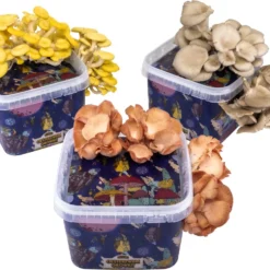ToshiFarm Triple Kweekbundel - 3x Oesterzwam Growkit - 3x Oesterzwamsporen (Grijs, Geel En Roze)