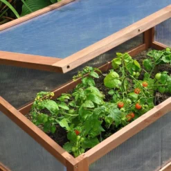 Royal Well Tuinkas Royal Well | Broeikas Sweet Tomato -Goedkope Groene Liefde Winkel 1200x988