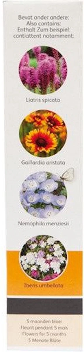 Buzzy Friendly Flowers Bloemenmengsel Vlinders 15m² 9 Buzzy Friendly Flowers Bloemenmengsel Vlinders 15m² - Afbeelding 7