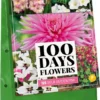 Jub Holland Bloembollen - Garden Pink Mix - Roze En Witte Bloemen - Zomerbloeiend - 125 Stuks In Draagtas -Goedkope Groene Liefde Winkel 549x1200 1