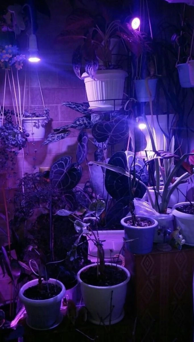 LED Groeilamp 60 Leds - Groei & Bloeilamp - Kweeklamp - Growlight - Growled 6 LED Groeilamp 60 Leds - Groei & Bloeilamp - Kweeklamp - Growlight - Growled - Afbeelding 4