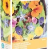 Buzzy® Friendly Flowers - Zadenmengsel - Eetbare Bloemen 15m² 1 Buzzy® Friendly Flowers - Zadenmengsel - Eetbare Bloemen 15m² -Goedkope Groene Liefde Winkel 692x1200