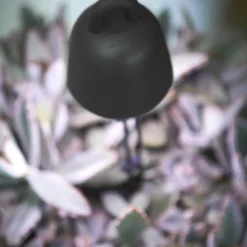 Elho Leaf Light Care 7 - Accessoires Voor Binnenkweken En Oogsten - Ø 7.8 X H 31.8 Cm - Zwart/Living Black 12 Elho Leaf Light Care 7 - Accessoires Voor Binnenkweken En Oogsten - Ø 7.8 X H 31.8 Cm - Zwart/Living Black -Goedkope Groene Liefde Winkel 713x1200 1