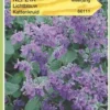 Oranjebandzaden - Nepeta, Kattenkruid -Goedkope Groene Liefde Winkel 723x1200
