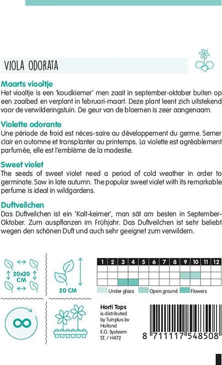 Hortitops Maarts Viooltje Bloemzaad - Viola Odorata 4 Hortitops Maarts Viooltje Bloemzaad - Viola Odorata - Afbeelding 2