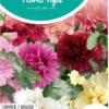 Hortitops Zaden - Althaea Rosea Summer Carnival - Stokroos -Goedkope Groene Liefde Winkel 761x1200 1