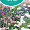 Hortitops - Korenbloem Bloemzaad - Dubbelbloemig - Gemengdd -Goedkope Groene Liefde Winkel 763x1200