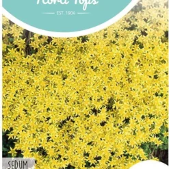 Hortitops Zaden - Muurpeper Bloemzaad - Sedum Acre - Geel