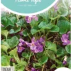 Hortitops Maarts Viooltje Bloemzaad - Viola Odorata -Goedkope Groene Liefde Winkel 764x1200 3
