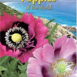 Buzzy® Poppies Of The World - Papaver Slaapbol 7 Buzzy® Poppies Of The World - Papaver Slaapbol -Goedkope Groene Liefde Winkel 786x1200 1