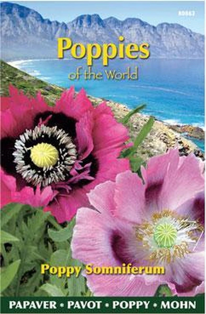Buzzy® Poppies Of The World - Papaver Slaapbol 5 Buzzy® Poppies Of The World - Papaver Slaapbol - Afbeelding 3