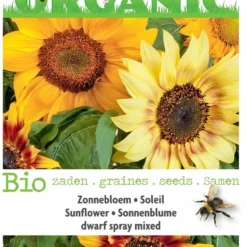 Organic Zonnebloem Compact Spray Mix Laag (BIO) - Inh.: 1 Gram -Goedkope Groene Liefde Winkel 787x1200 1