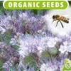 Sluis Garden - Groenbemester Bijenvoer BIO (Phacelia) 2 Sluis Garden - Groenbemester Bijenvoer BIO (Phacelia) -Goedkope Groene Liefde Winkel 789x1200