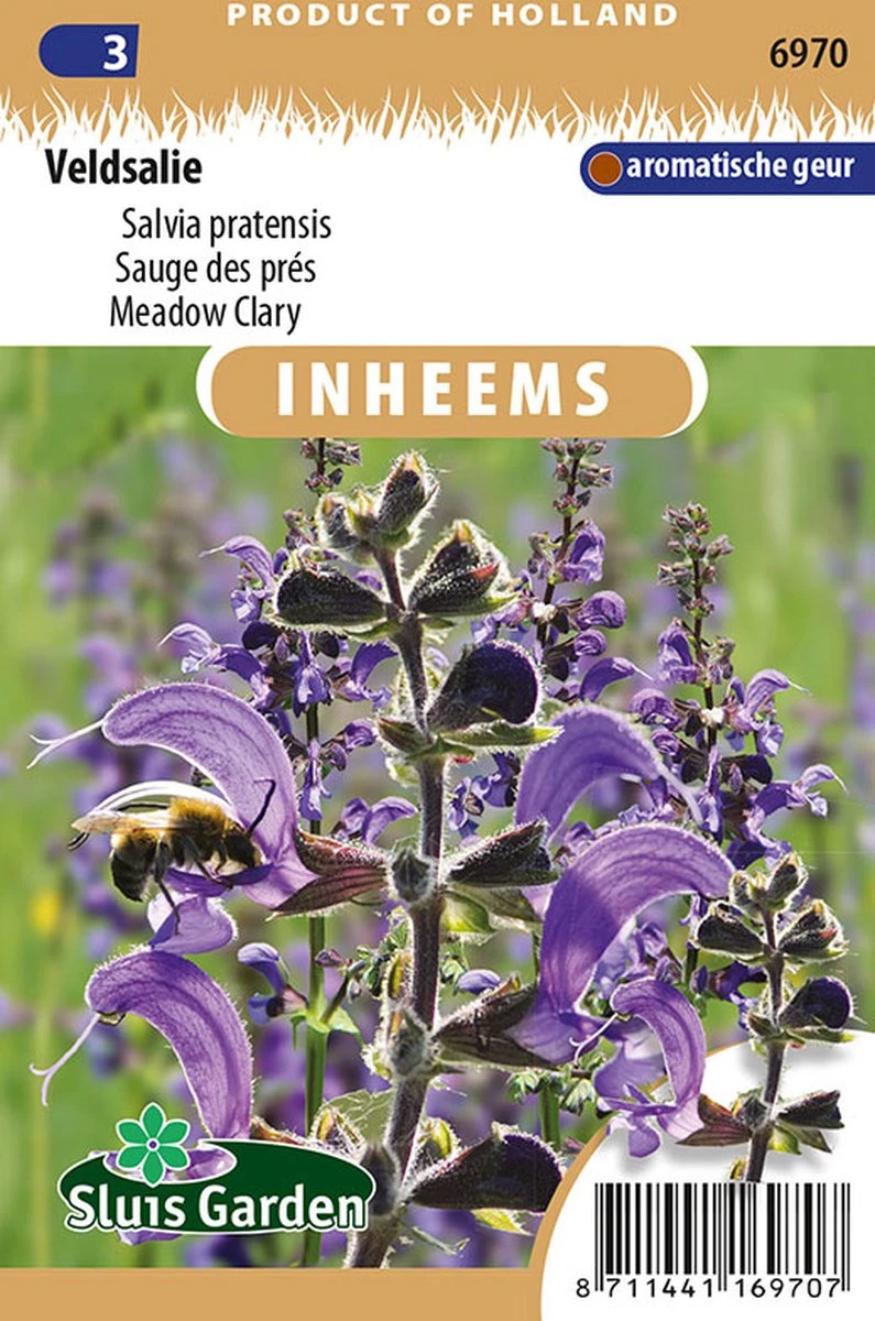 Sluis Garden - Inheemse Bloemenzaden - Veldsalie - Salvia Pratensis - Geproduceerd In Nederland 3 Sluis Garden - Inheemse Bloemenzaden - Veldsalie - Salvia Pratensis - Geproduceerd In Nederland