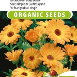 Sluis Garden - Goudsbloem Nova Hoge Enkele Biologisch