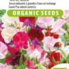 Sluis Garden - Reukerwt Mix BIO (Lathyrus) -Goedkope Groene Liefde Winkel 797x1200 2