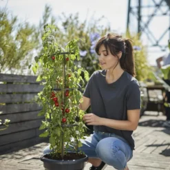 Elho Green Basics Tomaten Pot 33 - Bloempot Voor Buitenkweken En Oogsten - Ø 33.5 X H 26.0 Cm - Zwart/Living Black 21 Elho Green Basics Tomaten Pot 33 - Bloempot Voor Buitenkweken En Oogsten - Ø 33.5 X H 26.0 Cm - Zwart/Living Black -Goedkope Groene Liefde Winkel 800x1200 12